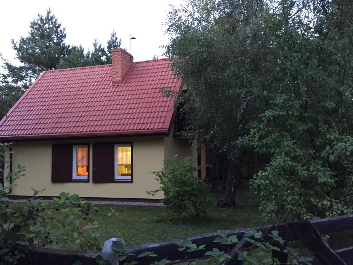 Лоджи Domek nad jeziorem Rumian Rybno-26